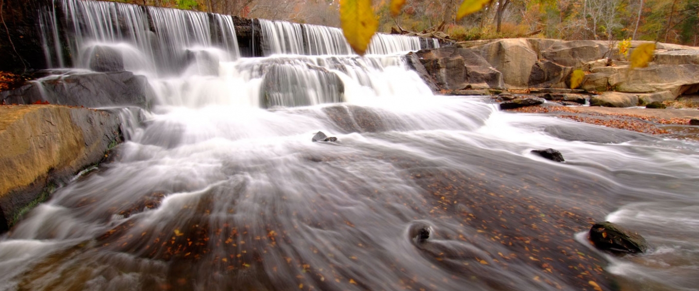 How are PFAS impacting South Carolina's waters?