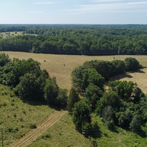 Recently Protected: 101 acres in Southern Greenville County