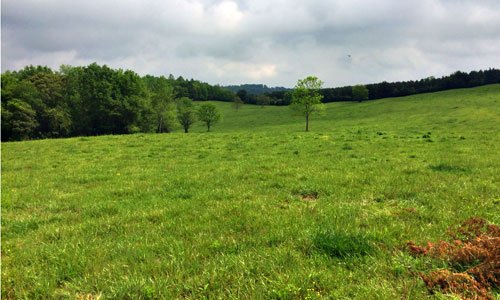 100 additional acres of historic Hester Dairy Farm are now permanently protected