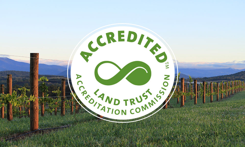 Upstate Forever to Seek Reaccreditation from the Land Trust Alliance